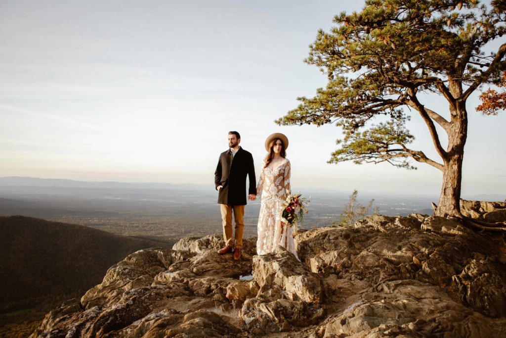 Wedding couple stand side by side holding hands, looking in opposite directions with a tree in the background in the Virginia Mountains during their Raven's Roost Overlook Elopement. 