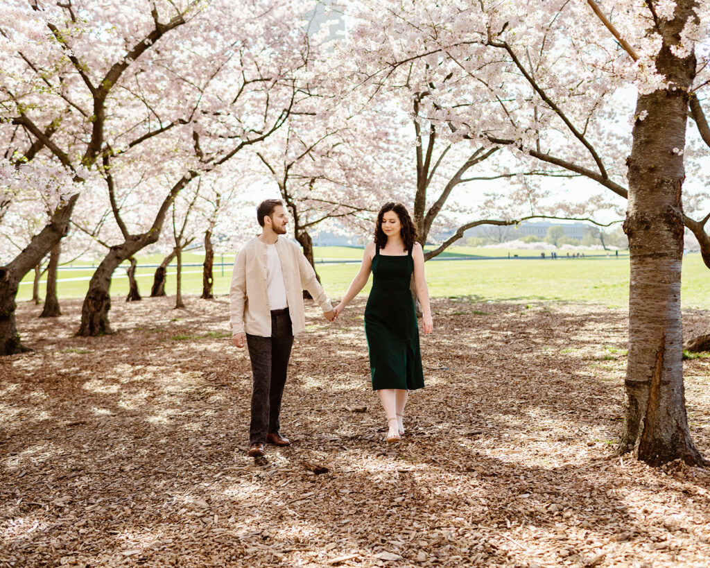 The engaged couple holding hands and walking through the cherry blossoms for their DC engagement photos