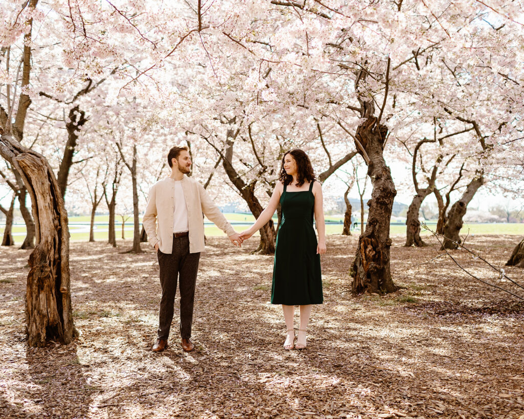 The engaged couple walking through the cherry blossoms during their engagement session in Washington Dc