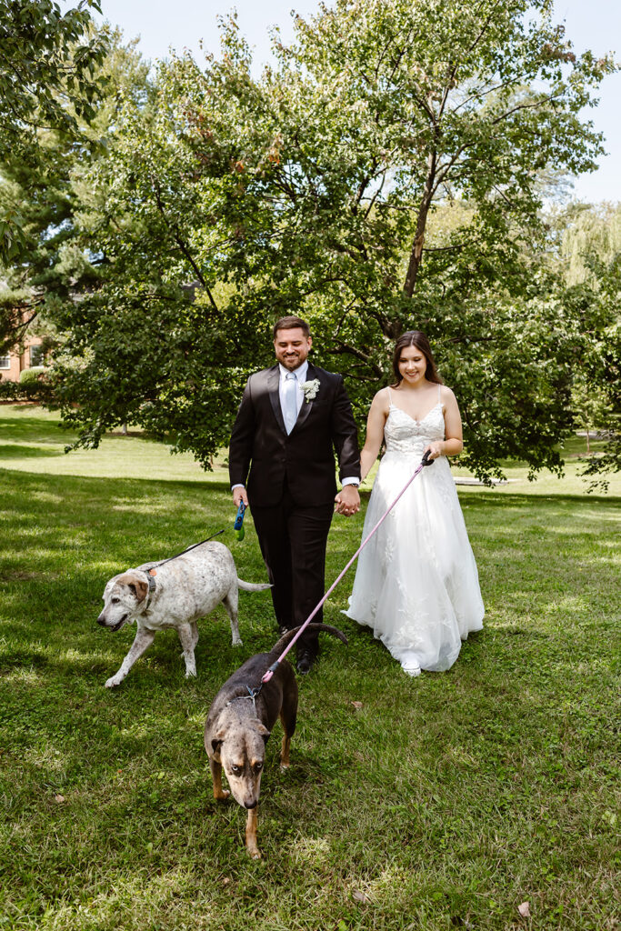 the wedding couple walking hand in hand with their dogs for their elopement