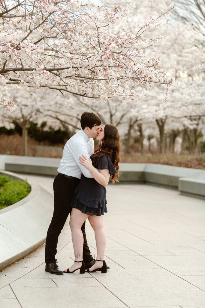 the engaged couple kissing by the cherry blossoms at the National Cherry Blossom Festival in DC