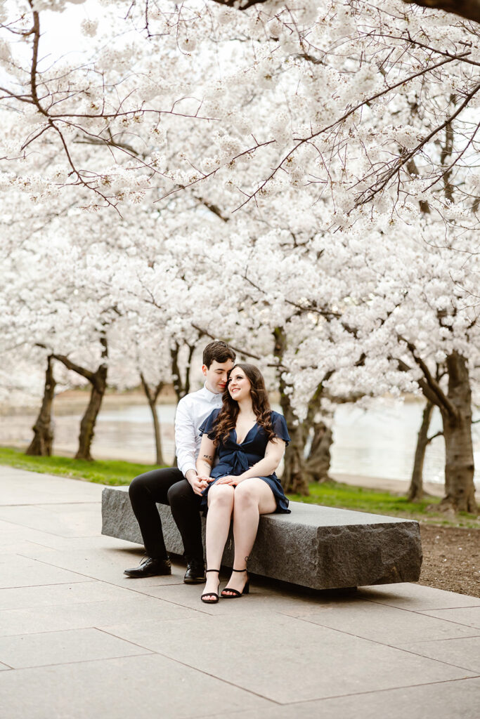 the DC couple sitting on a bench during the National Cherry Blossom Festival in DC