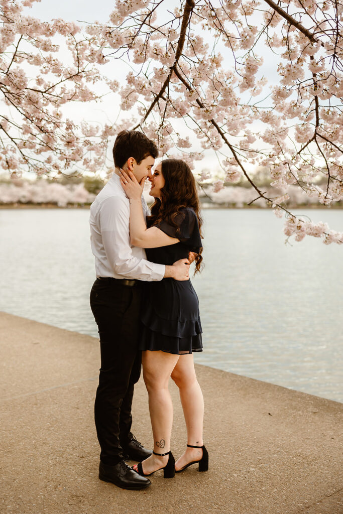 the DC couple enjoying the National Cherry Blossom Festival with spring photos
