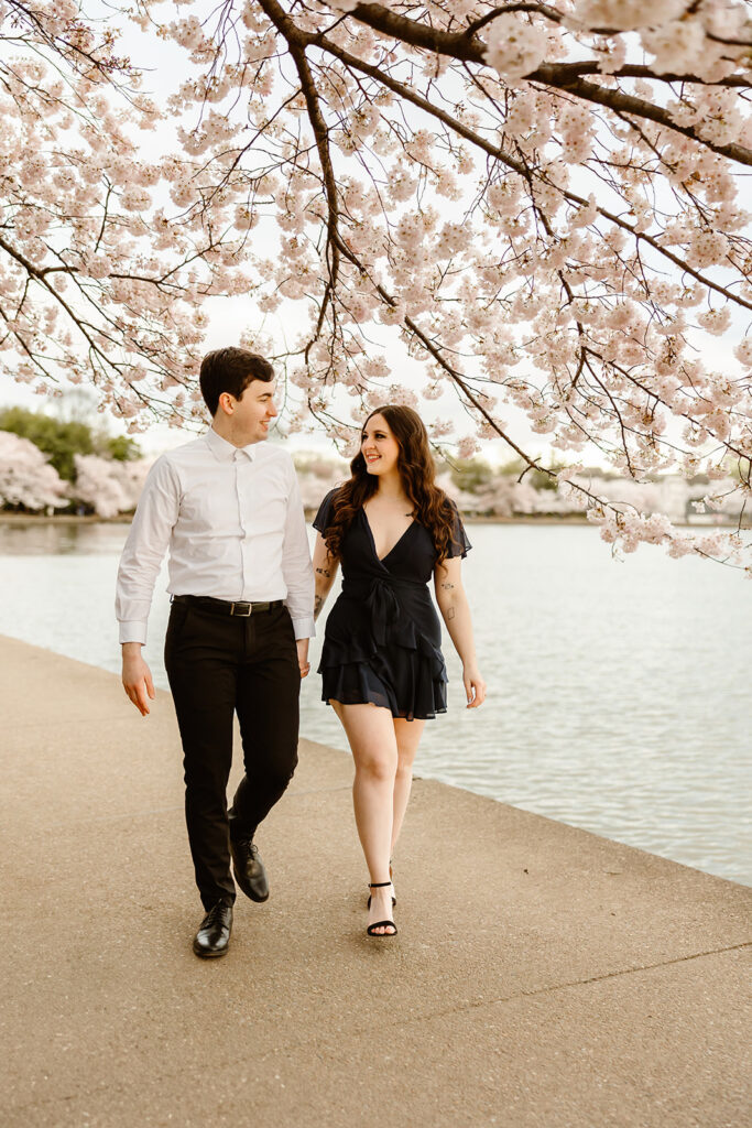 the dc engaged couple walking along the cherry blossoms