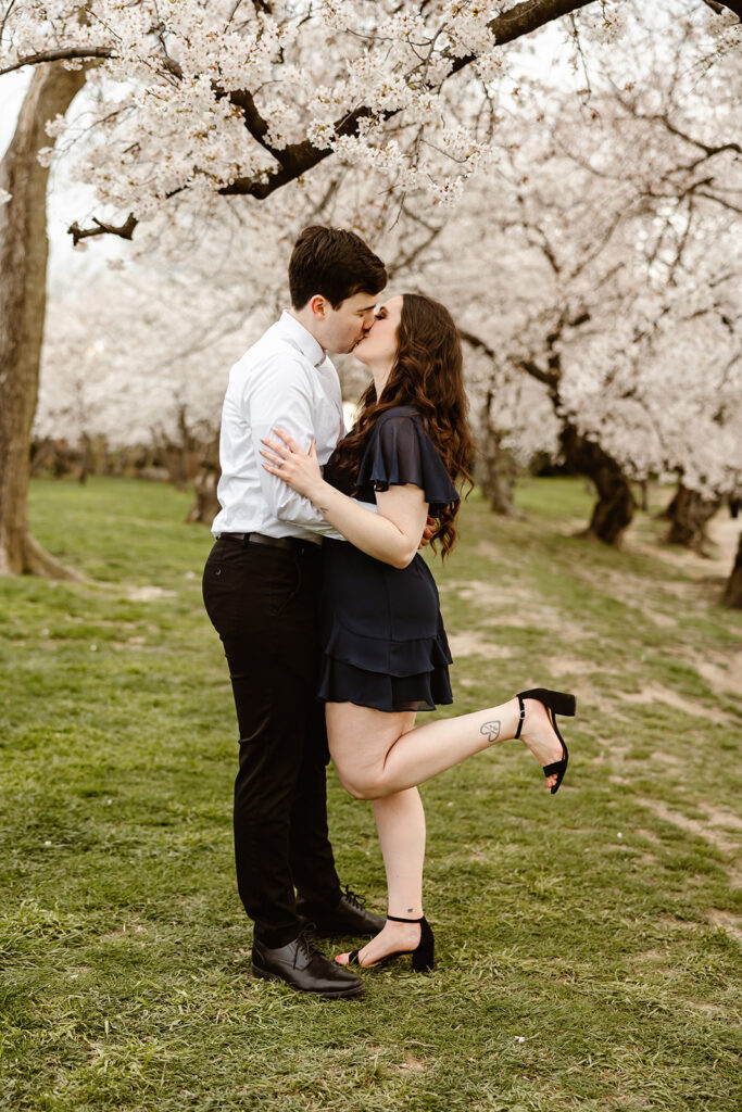 the engaged couple kissing under the cherry blossoms