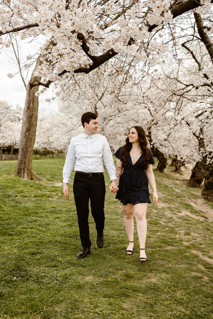 the engaged couple walking through the Washington DC cherry blossoms