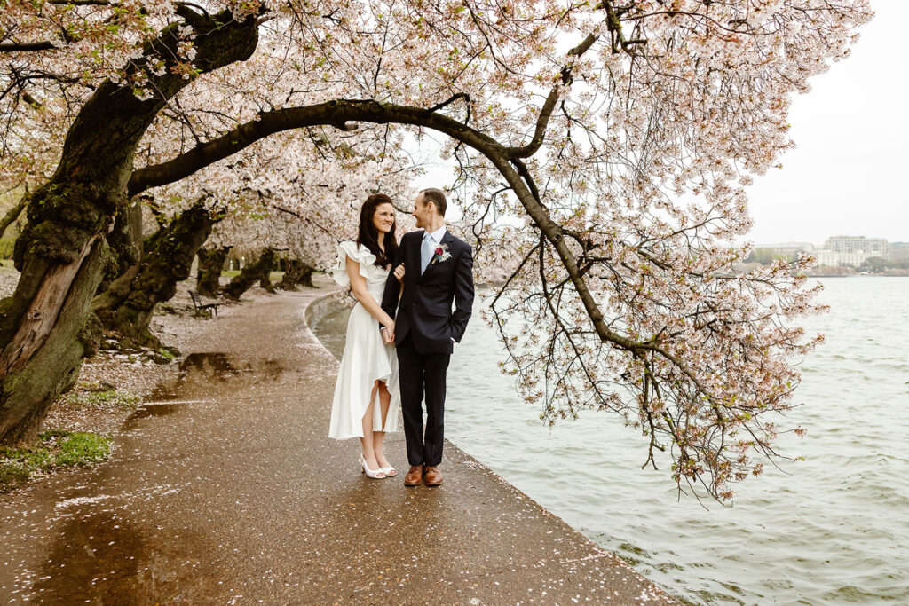 the wedding couple walking along the Tidal Basin with the cherry blossoms