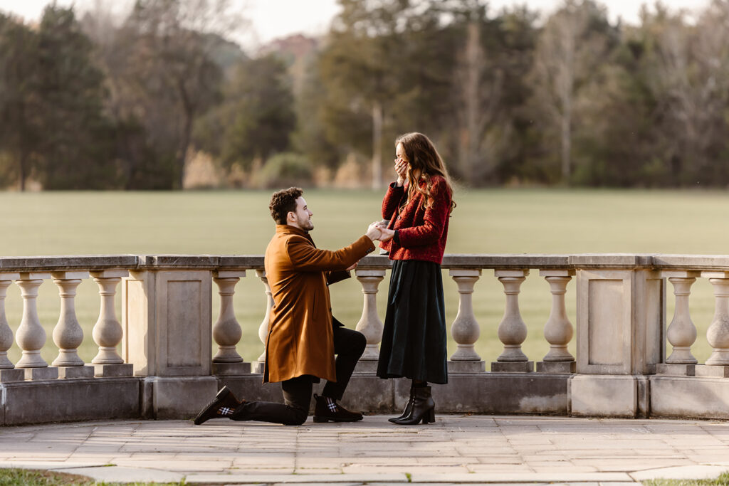 Frank on one knee proposing to Virginia-Lee