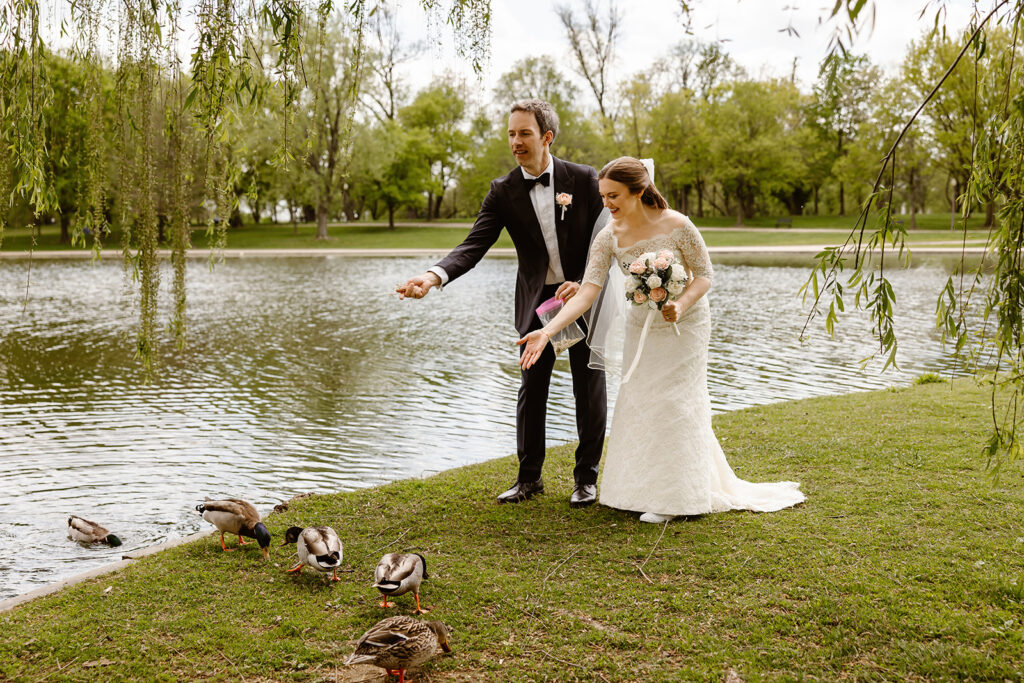 the bride and groom feeding ducks after their DC elopement ceremony