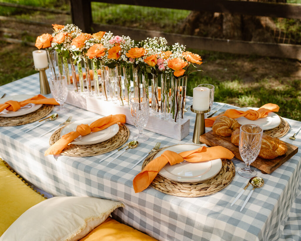 park picnic set up for a baltimore elopement