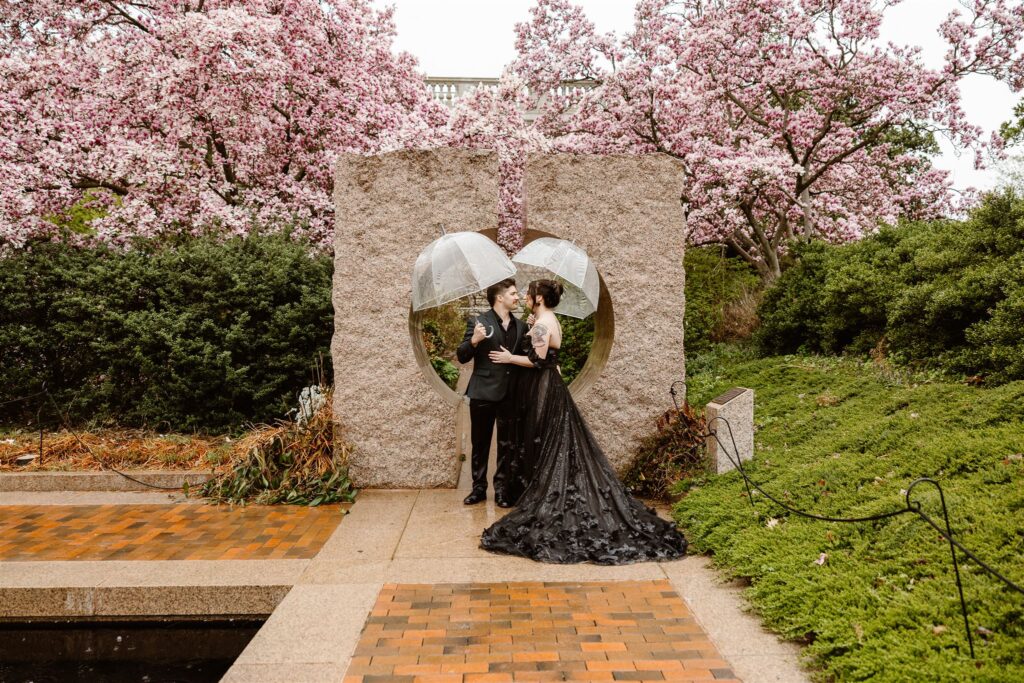 bride and groom posing in front of cherry blossoms in washington dc under clear umbrellas due to a light rain