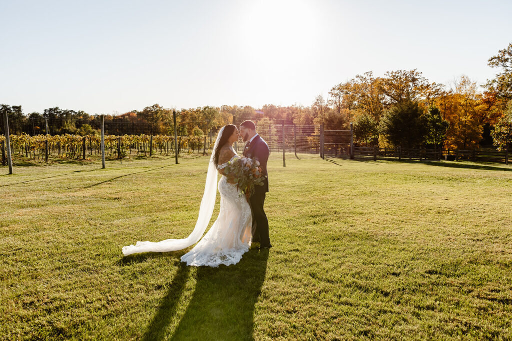 golden hour portraits in the vineyard during the winery micro wedding