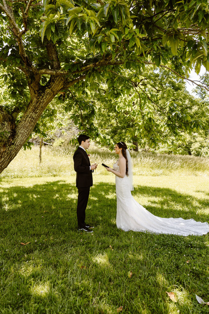 bride and groom private vow exchange during a summer elopement in shenandoah