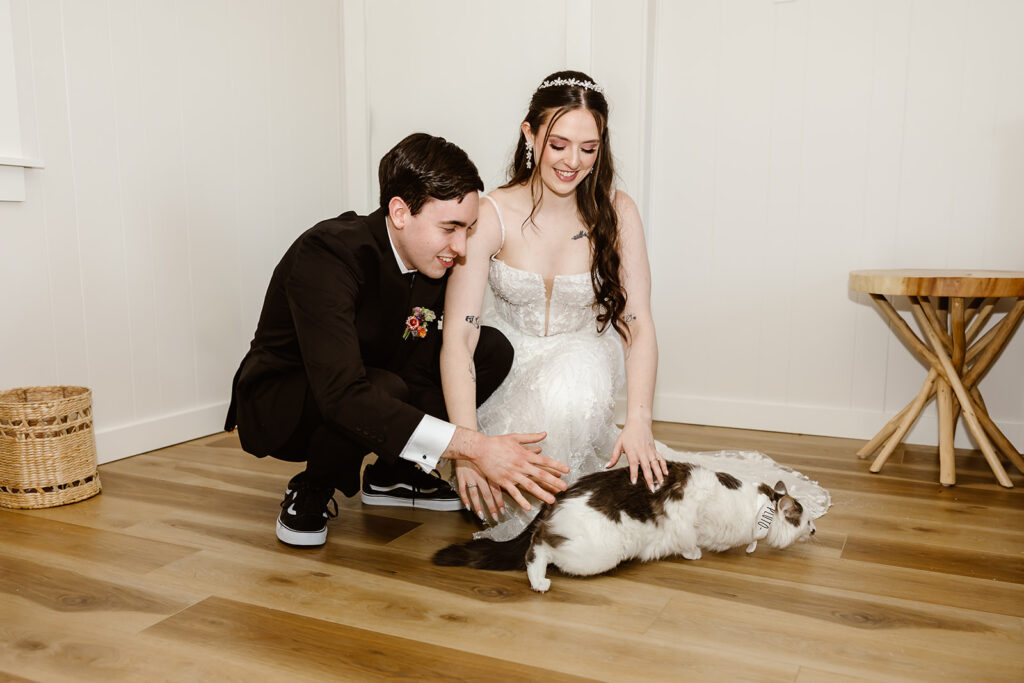 bride and groom with their cats at the airbnb