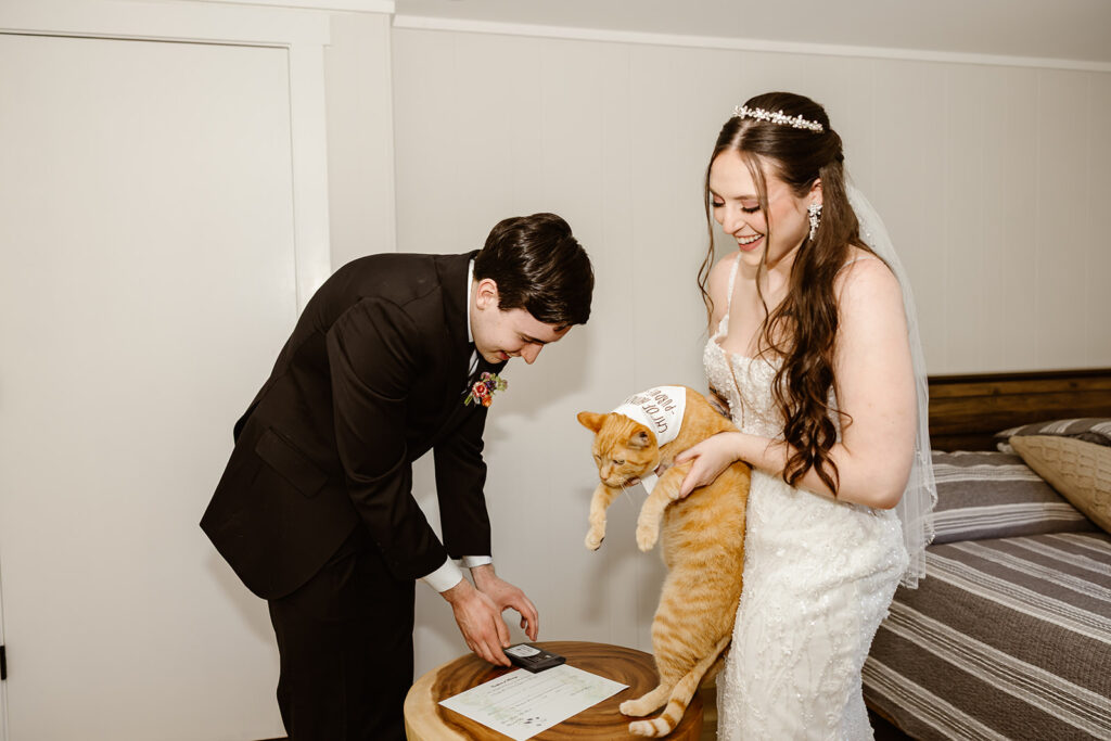 bride and groom with their cats at the airbnb