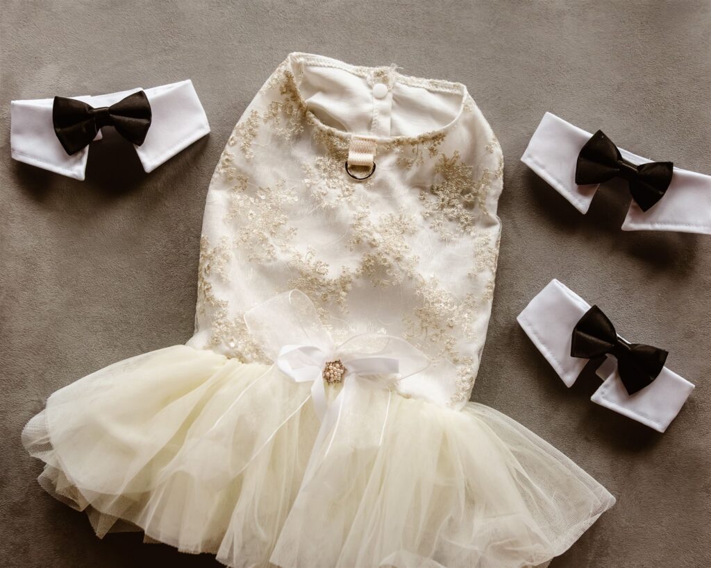 cute kitty wedding outfits